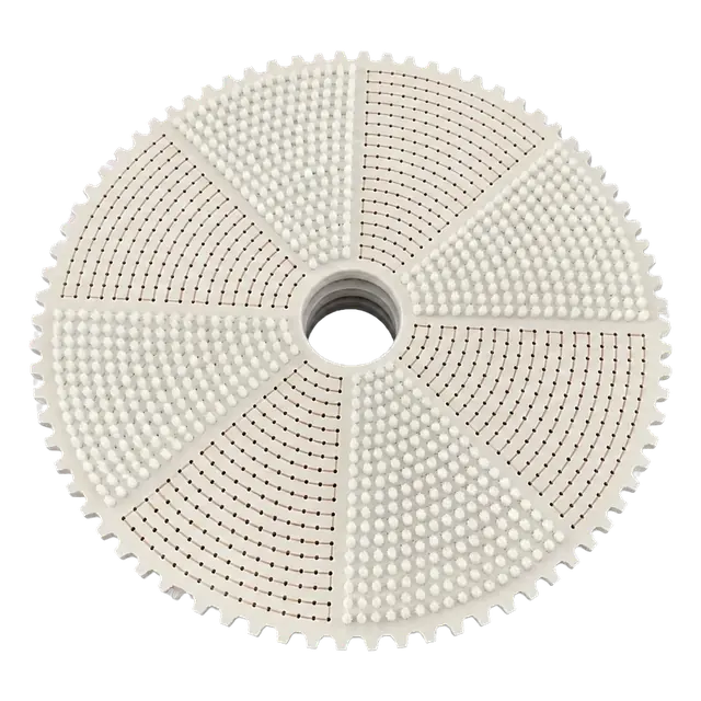 Cleaning and brush discs